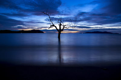 Silhouette bare tree by lake against sky