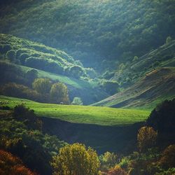 Scenic view of landscape