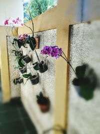 Close-up of flowers