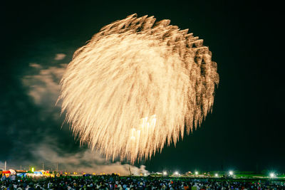 Low angle view of firework display at night