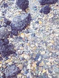 Full frame shot of pebbles