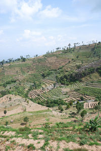 High angle view of trees on field against sky