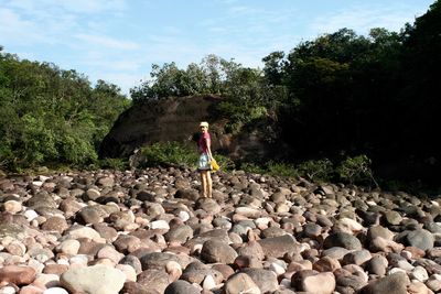 Stones on landscape