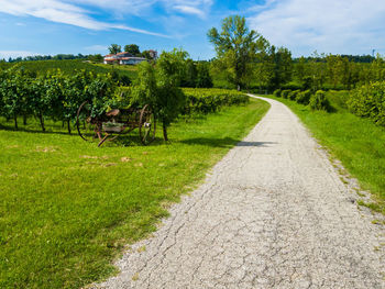 Road amidst plants and trees against sky