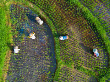 High angle view of beach