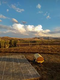 Scenic view of field against sky