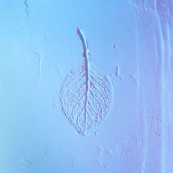 Powder texture with creative leaf impression. neon blue and violet color lights. flat lay
