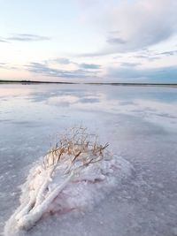 Scenic view of sea against sky during winter