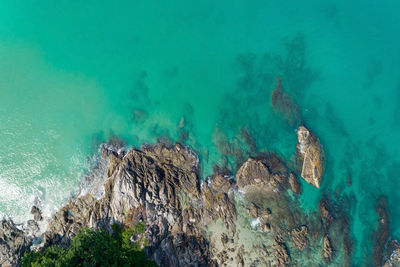 High angle view of rocks on sea shore