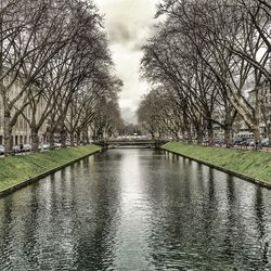 View of canal along trees