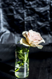 Close-up of rose flower in glass