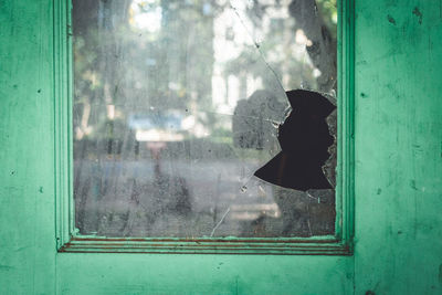 Close-up of broken glass window