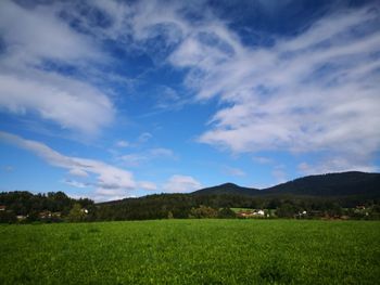 Scenic view of field against sky