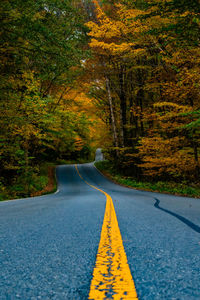 Road amidst trees in forest