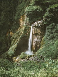 Scenic view of waterfall in forest