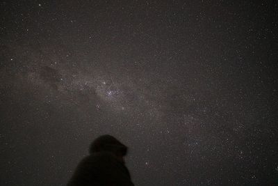 Rear view of friends standing against sky at night