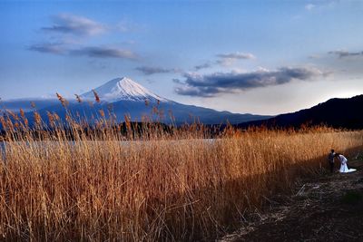 Plants growing by snowcapped mountain against sky