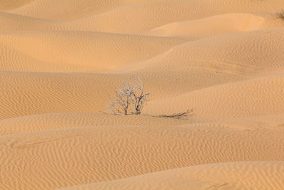 High angle view of sand dunes