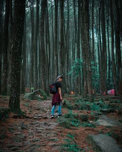 Rear view of man standing on tree trunk in forest