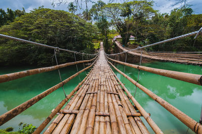 Footbridge over river amidst trees in forest