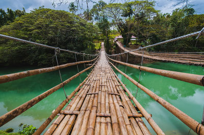 A wide-angle shot of a bamboo bridge in bohol, philippines.