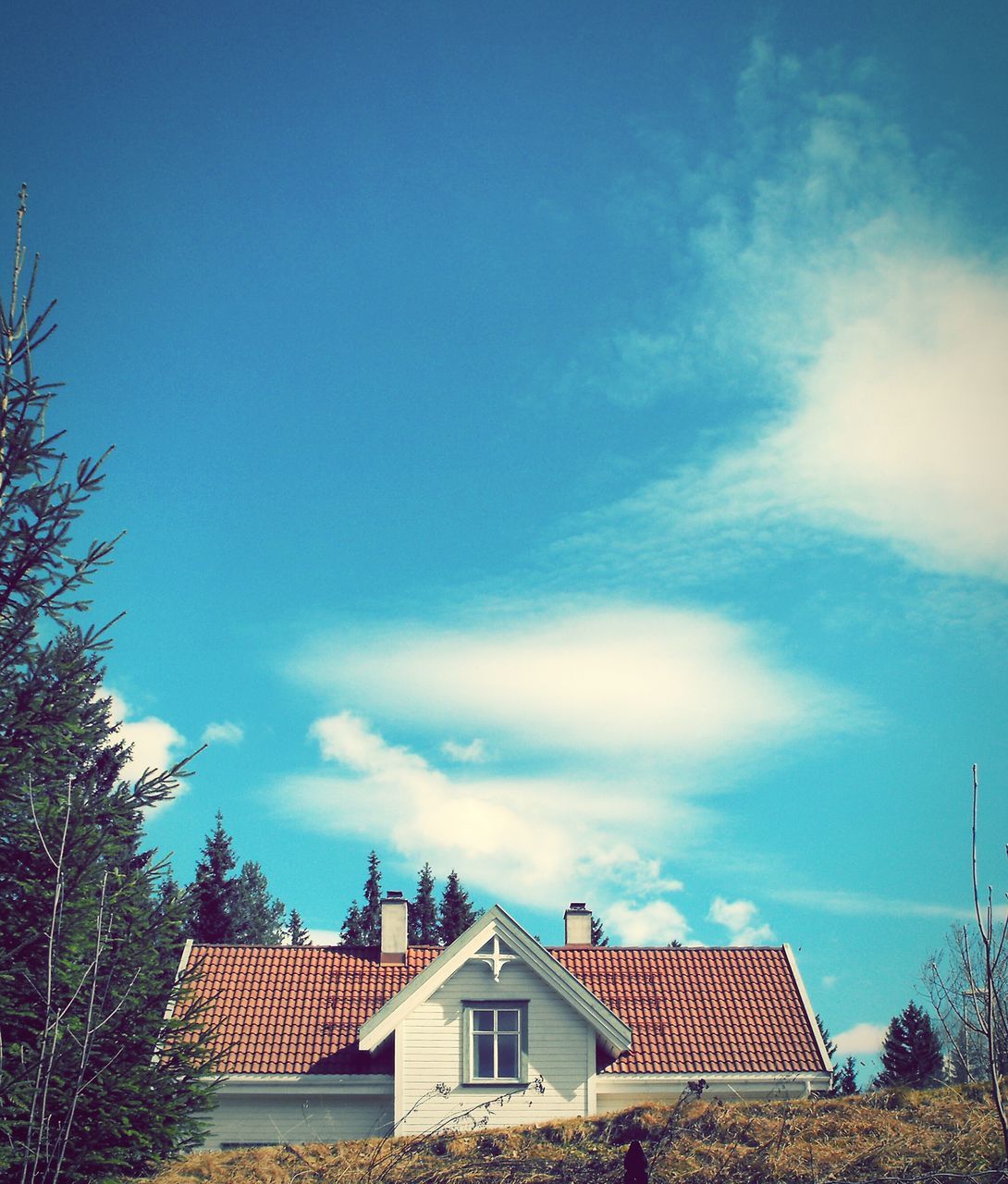 building exterior, architecture, built structure, house, roof, sky, low angle view, residential structure, blue, tree, cloud - sky, residential building, high section, cloud, roof tile, day, outdoors, no people, nature, town