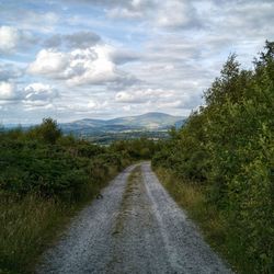 Road amidst trees against sky