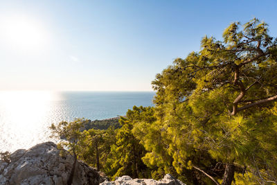 Beautiful view through the branches of the blue sea