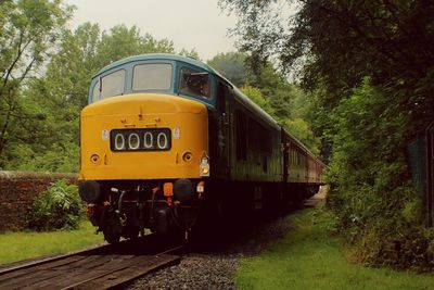 Train on railroad track