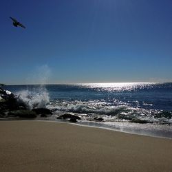 Scenic view of sea against clear sky