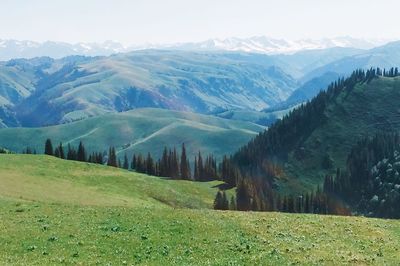 Scenic view of landscape