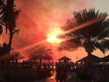 Silhouette trees against dramatic sky during sunset