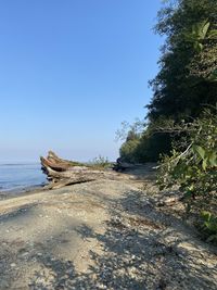 Scenic view of sea against clear blue sky