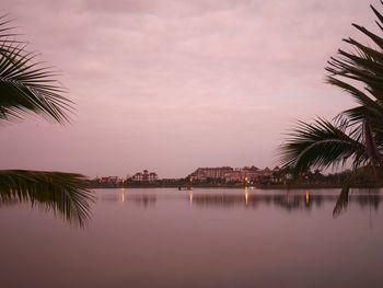 Palm trees against sky during sunset