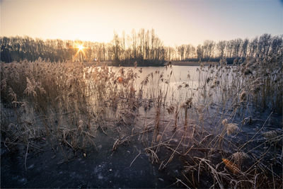 Scenic view of frozen lake against sky during sunset