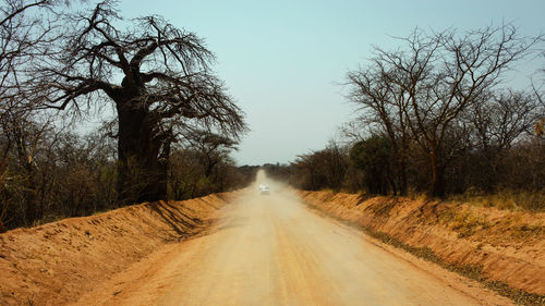 Dirt road amidst trees against clear sky in ruaha national park in tanzania
