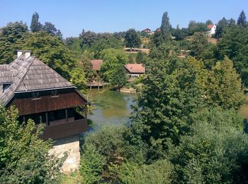 View of trees by pond