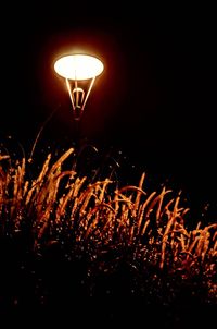 Low angle view of illuminated lights at night