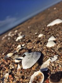Surface level of pebbles