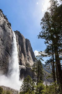 Low angle view of waterfall in forest