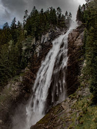 Low angle view of waterfall in forest