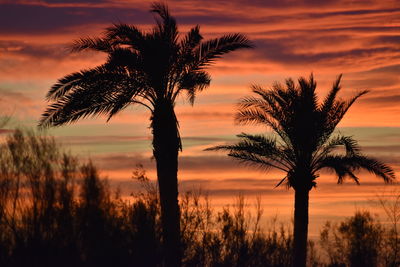 Silhouette palm trees against romantic sky at sunset