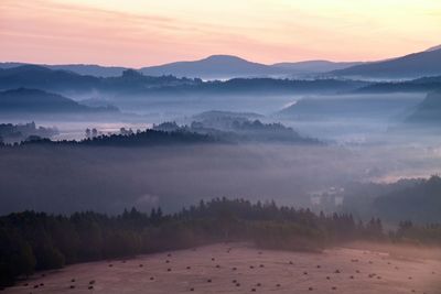 Misty dreamy landscape at begining of november