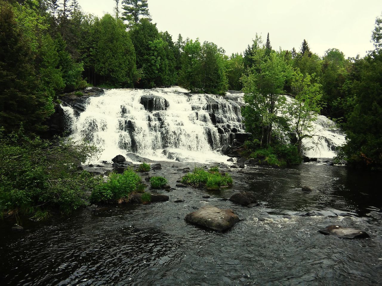 water, tree, tranquil scene, tranquility, beauty in nature, nature, scenics, rock - object, stream, growth, flowing water, river, plant, forest, flowing, day, idyllic, green color, non-urban scene, no people