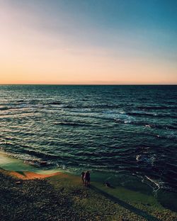 Silhouette dog standing on beach against clear sky during sunset