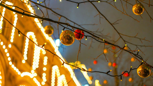 Low angle view of christmas lights hanging from tree