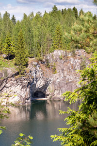 Scenic view of waterfall in forest