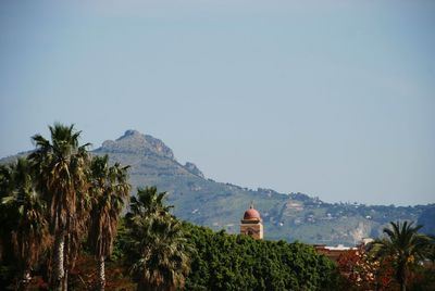 Panoramic view of trees and buildings against clear sky