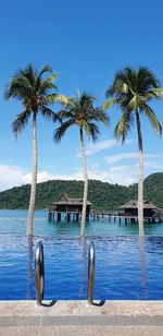 Palm trees by swimming pool against sky