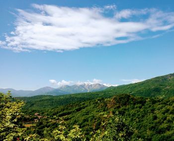 Scenic view of landscape against sky